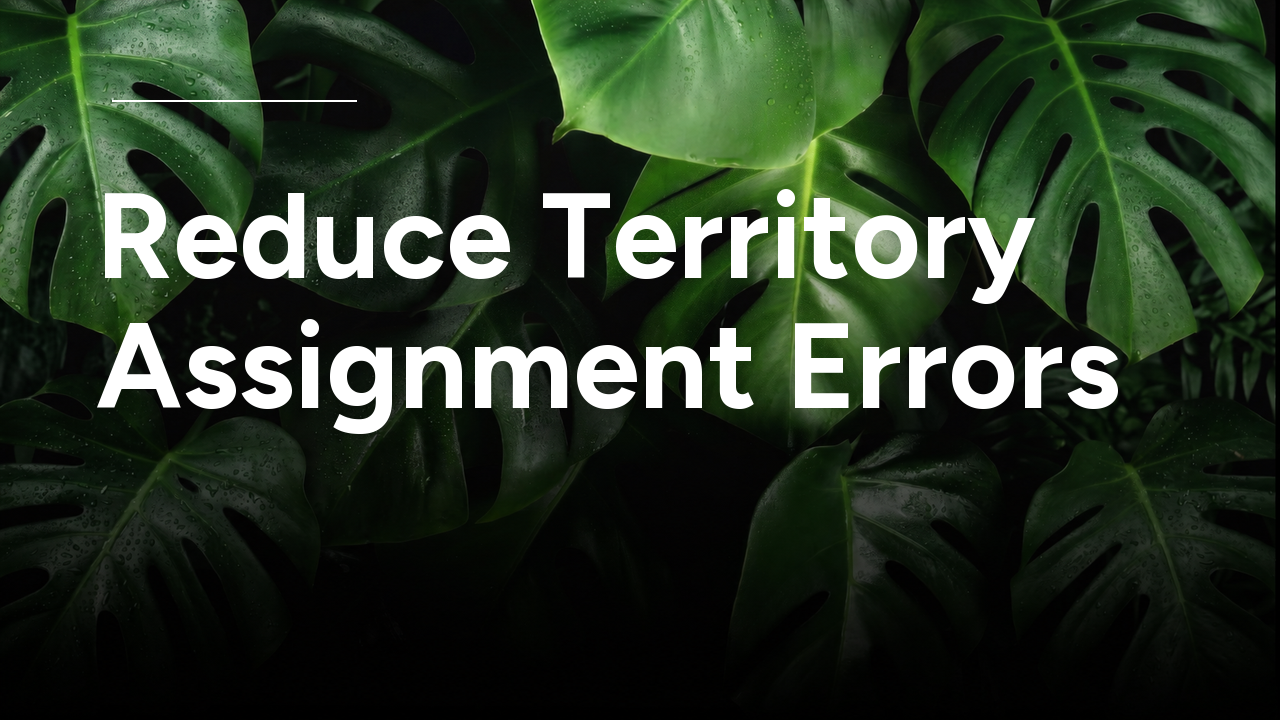 How to Reduce Territory Assignment Errors: Practical Steps