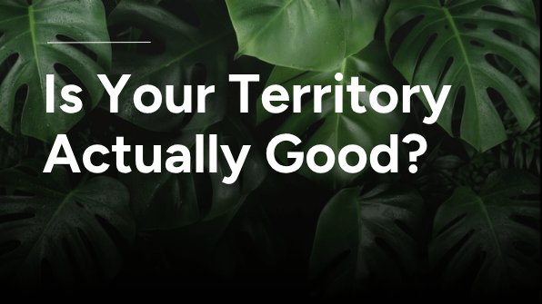 What Makes a Good Sales Territory? A Rep's Checklist