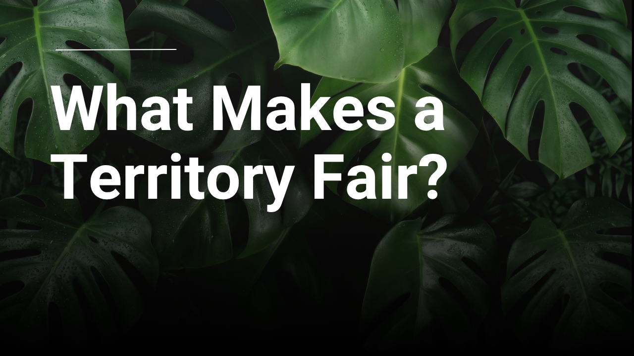 How to Define What a Fair Territory Actually Looks Like